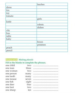 3rd Grade Grammar Plurals (10).jpg